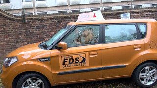 Fake Driving Schoolhatalmas cickós csoki picsa istenien kúrel